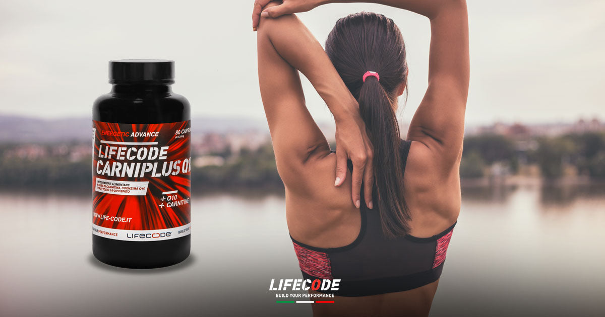 how acetyl l carnitine works Carnitine Shuttle how acetyl l carnitine works Carnitine Shuttle