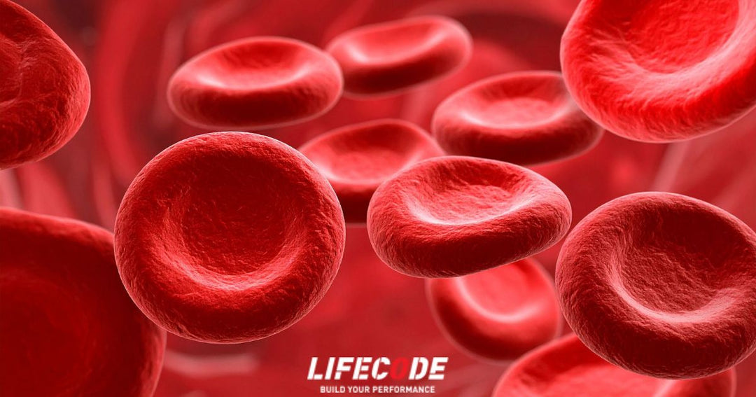 COME IL SANGUE TRASPORTA OSSIGENO: MECCANISMI, LIMITI E STRATEGIE PER MIGLIORARNE L’EFFICIENZA